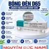 Bóng halogen Ushio FDF 500W 120V dùng trong cấu hình SpectraLight QC phù hợp
